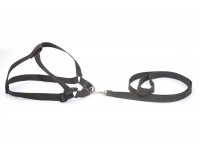 Комплект капроновий 1,0 см Лорік малий для тварин Zoo-hunt коричневий 