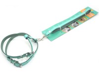 Комплект поводок і шлея для котів і собак Zoo-hunt КІТ шкіра аквамарин 