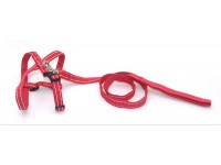 Комплект для собак і котів Zoo-hunt капроновий світловідбиваючий Неон 2,0 см червоний Комплект для собак і котів Zoo-hunt капроновий світловідбиваючий Неон 2,0 см червоний