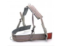 Шлея кінна кольорова Zoo-hunt підшита регульована 18113 