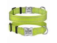 Нашийник для Собак BronzeDog Active Нейлоновий зі Світловідбиттям та Металевою Пряжкою Салатовий  XL(38/1305/Т) 