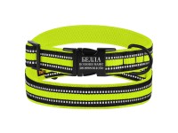 Нашийник для Собак BronzeDog Mesh з Металевою Пряжкою Лимонний S(46/1605/Т) Нашийник для Собак BronzeDog Mesh з Металевою Пряжкою Лимонний S(46/1605/Т)