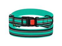 Нашийник для Собак BronzeDog Mesh з Пластиковою Пряжкою Ментоловий  XL(53/1608/Т) 