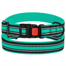 Нашийник для Собак BronzeDog Mesh з Пластиковою Пряжкою Ментоловий  XL(53/1608/Т) 