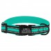 Нашийник для Собак BronzeDog Mesh з Металевою Пряжкою Ментоловий  XL(66/1608/Т) 