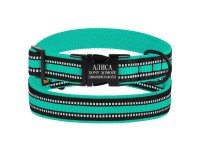 Нашийник для Собак BronzeDog Mesh з Металевою Пряжкою Ментоловий S(46/1608/Т) Нашийник для Собак BronzeDog Mesh з Металевою Пряжкою Ментоловий S(46/1608/Т)