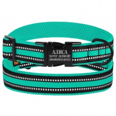 Нашийник для Собак BronzeDog Mesh з Металевою Пряжкою Ментоловий  XL(66/1608/Т) 