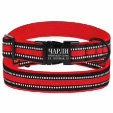 Нашийник для Собак BronzeDog Mesh з Металевою Пряжкою Червоний  S(46/1603/Т) 