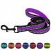 Повідець для Собак BronzeDog Mesh 2 в 1 Фіолетовий  M(61/1607/Т) 