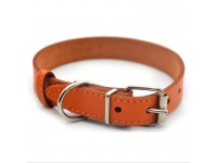 Нашийник для собак Zoo-hunt шкіряний Весна помаранчевий 1,2/20-25 см