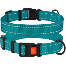 Нашийник для Собак BronzeDog Active Нейлоновий зі Світловідбиттям та Пластиковою Пряжкою Бірюзовий  XL(53/1225/Т) 
