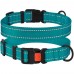 Нашийник для Собак BronzeDog Active Нейлоновий зі Світловідбиттям та Пластиковою Пряжкою Бірюзовий  M(51/1225/Т) 