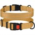 Нашийник для Собак BronzeDog Active Нейлоновий зі Світловідбиттям та Пластиковою Пряжкою Золотистий  S(50/1226/Т) 