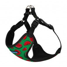 Шлея для Собак Sport Barksi Кавун M(75/8629) Шлея для Собак Sport Barksi Кавун M(75/8629)