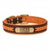 Нашийник для Собак Шкіряний BronzeDog Premium з Литою Латунною Фурнітурою та Адресником Коричнево-Помаранчевий  XL(61084/Т) 