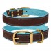 Нашийник для Собак Шкіряний BronzeDog Premium з Литою Латунною Фурнітурою та Адресником Коричнево-Блакитний  S(62052/Т) 