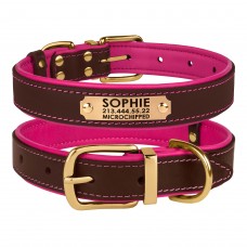 Нашийник для Собак Шкіряний BronzeDog Premium з Литою Латунною Фурнітурою та Адресником Коричнево-Рожевий  XL(62087/Т) 
