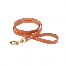 Повідець для Собак Шкіряний BronzeDog Premium з Літою Латунною Фурнітурою Гірчичний  M(47124/Т) 