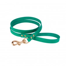 Повідець для Собак Шкіряний BronzeDog Premium з Літою Латунною Фурнітурою Бірюзовий  S(471113/Т) 