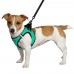 Шлея для собак Barksi Sport Vest неопрен 3D сітка бірюзова  XS(76313/Т) 