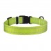 Нашийник для Собак BronzeDog Active Нейлоновий зі Світловідбиттям та Пластиковою Пряжкою Салатовий  S(50/1305/Т) 