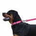 Нашийник для Собак BronzeDog Active Нейлоновий зі Світловідбиттям та Пластиковою Пряжкою Рожевий  XL(53/1306/Т) 
