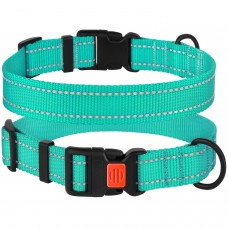 Нашийник для Собак BronzeDog Active Нейлоновий зі Світловідбиттям та Пластиковою Пряжкою Ментоловий  XL(53/1308/Т) 