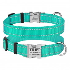 Нашийник для Собак BronzeDog Active Нейлоновий зі Світловідбиттям та Металевою Пряжкою Ментоловий  XL(38/1308/Т) 