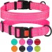 Нашийник для Собак BronzeDog Active Нейлоновий зі Світловідбиттям та Металевою Пряжкою Рожевий  L(34/1306/Т) 