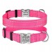 Нашийник для Собак BronzeDog Active Нейлоновий зі Світловідбиттям та Металевою Пряжкою Рожевий  L(34/1306/Т) 