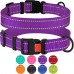 Нашийник для Собак BronzeDog Active Нейлоновий зі Світловідбиттям та Металевою Пряжкою Фіолетовий  S(32/1307/Т) 