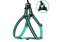 Шлея для Собак BronzeDog Mesh Стандарт Ментолова  M(82108/Т) 