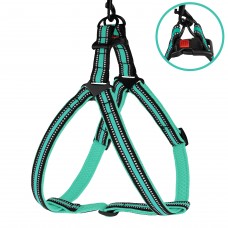 Шлея для Собак BronzeDog Mesh Стандарт Ментолова  M(82108/Т) 